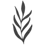 Olivo icon