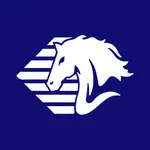 Aman - товары по выгодной цене icon