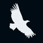 Immigratus AI Civics Test icon