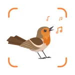Bird Call Identifier Sounds ID icon
