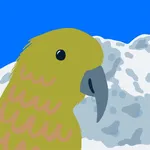 Bird App: a Bird a Day icon