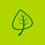 Real Fruit Bubble Tea icon