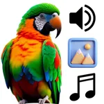 Parrot Sounds & 4K Wallpapers icon