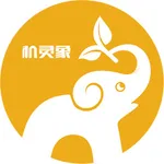 机灵象英文单词 icon