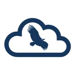 Condor Hub icon