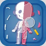 Skeleton Sort: Human Body icon