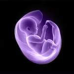 NubX: Gender Reveal& Baby Scan icon