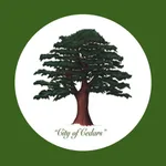 Voice Lebanon icon