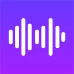 噪音检测仪 - 高精度分贝测试仪 icon