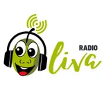 Radio Oliva icon