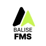 Balise FMS icon
