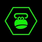 Monkey Gym icon
