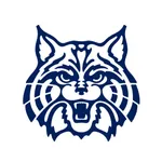 Wilmington Wildcats Athletics icon