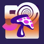 Mellow 2024 Conference icon