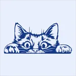 Tekir Haber icon