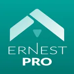 HEIWA Ernest PRO icon