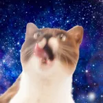 宇宙猫コラ画像ジェネレーター icon