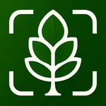 Tree Identifier: Tree id icon