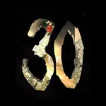 Korn30 icon
