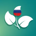 Russian – Twigit icon