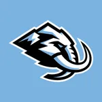 Utah Mammoth icon