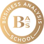 Business Analysis School icon