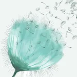 Allergy Tracker & Pollen Count icon