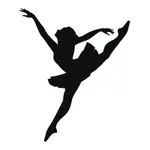 Yousplit.me icon