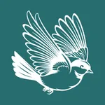 Skin Line сеть косметологий icon