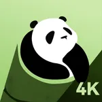 Panda Art Wallpaper:4k Screen icon