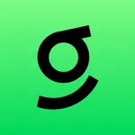 Swing Fridge Pro icon