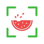 NutriPic: AI Calorie Counter icon
