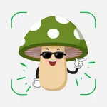 Mushroom Identifier: Sporeal icon