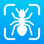 Bug Finder: Identifier icon