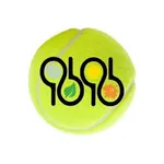 4 Seasons Tennis Club icon