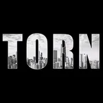 Torn City icon