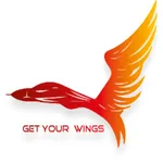 Pilot Aptitude Training icon