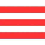 OKN Viewer: Nystagmus icon