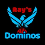 Rays Dominoes icon