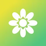 Anima Felix icon