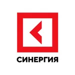 Синергия 24 icon