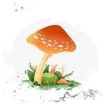 菌菇百科-食用菌百科知识大全 icon