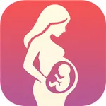 DueDate:Pregnancy week by week icon