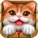 English Baby With Photos (Learning & Practice) icon