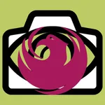 Phoenix Guide and Subway map icon