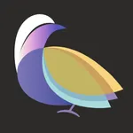 Nighthawk - True file hiding icon