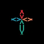 App IBVIDA icon