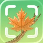 Tree Identifier - Wood & Leaf icon