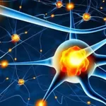 Mind Picture - Memory Games icon