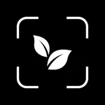 Cal AI Calorie Intake Tracker icon